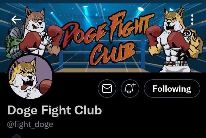 doge-fight-club-nft-comunitario-2