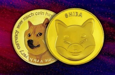 doge-shib-superan-bitcoin