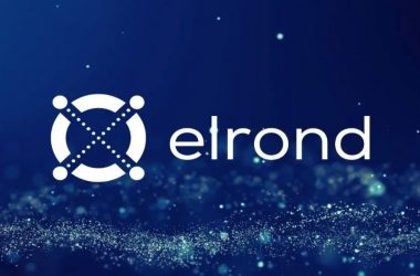 elrond-price