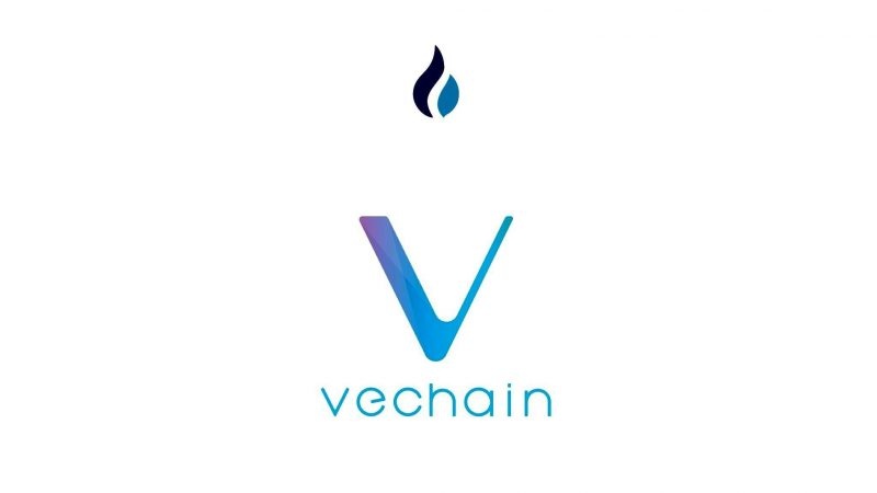 vechain-protocolo-2-0