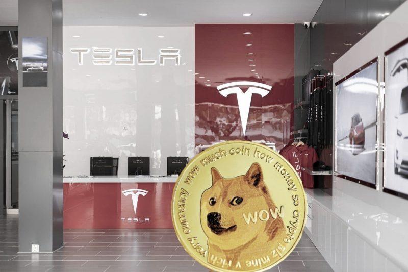 Tesla-DOGE