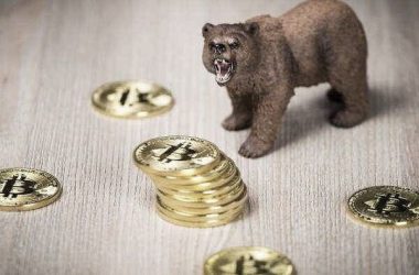 osos bitcoin btc activo