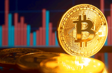 Dominancia de Bitcoin mercado cuotas