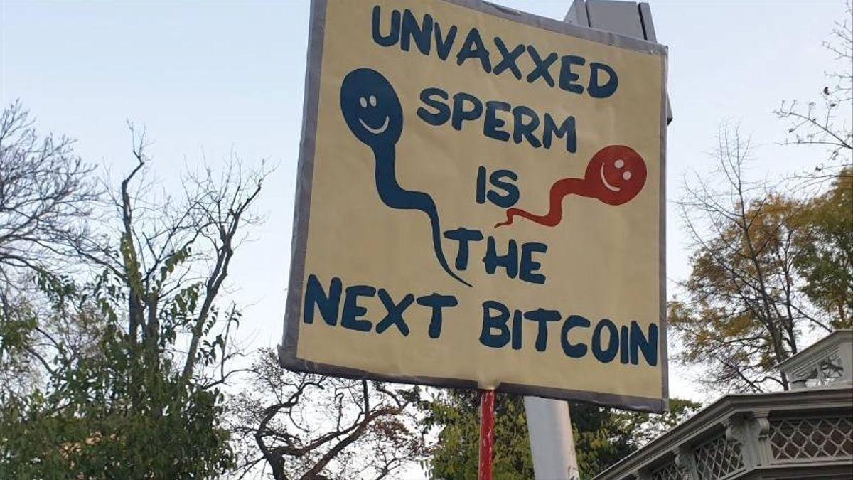 Unvaxxed Sperm nuevo Bitcoin
