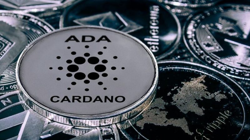 cardano-network