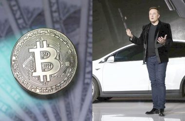 Musk-postura sobre el Bitcoin