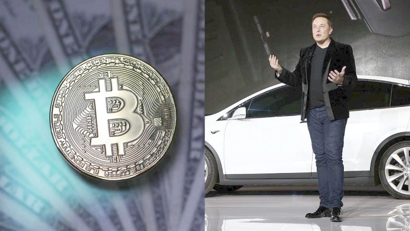 Musk-postura sobre el Bitcoin