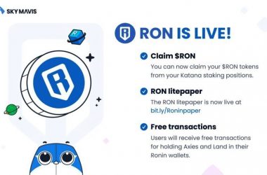 ronin-blockchain-futuro