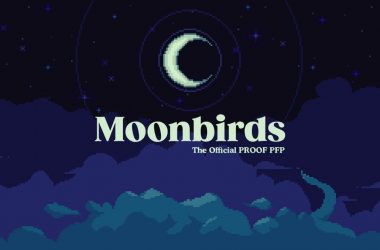 moonbirds