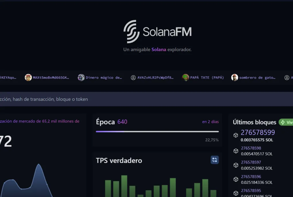 Explorador Blockchain SolanaFM Datos On-Chain al Instante