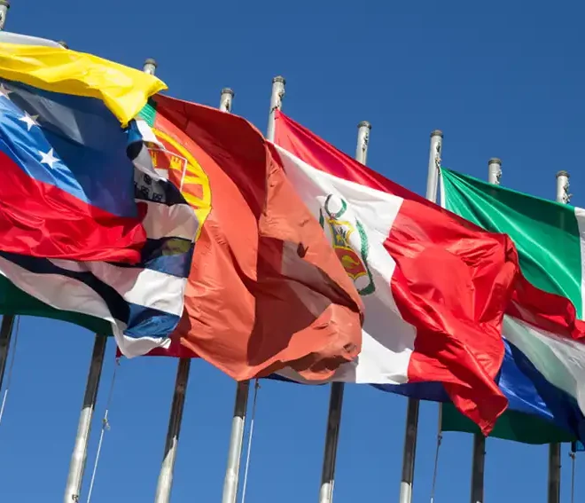 Salarios Mínimos de LATAM: La Cruda Realidad